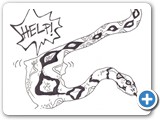 boy in snake